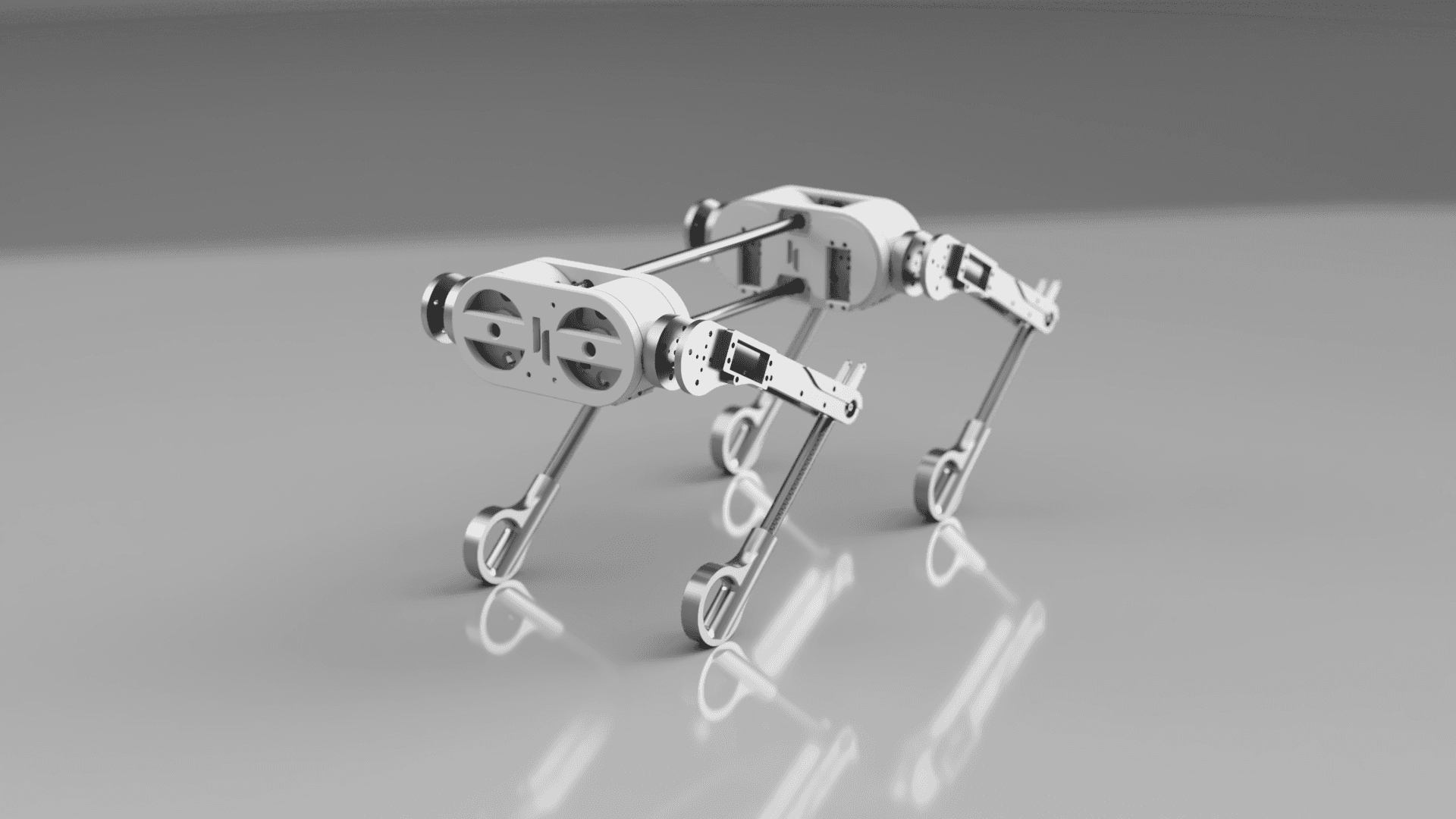 Hyaena Project